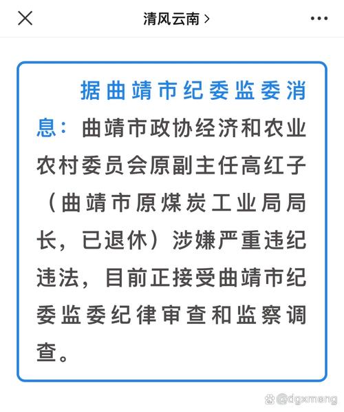 昆明市1名干部接受审查调查