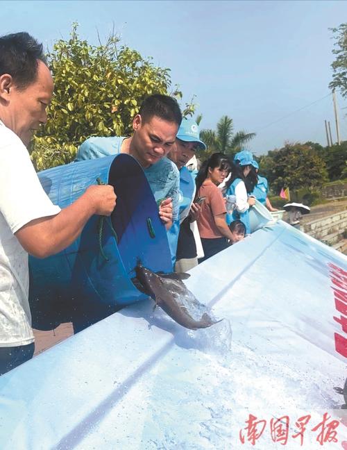 5万尾鱼苗放流 湘江流域又添“新住客”