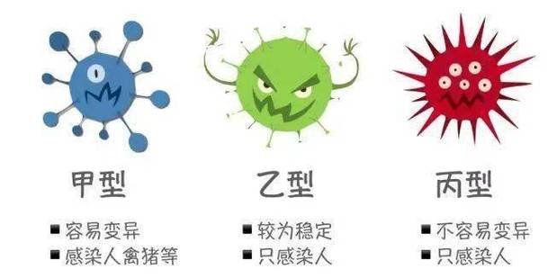 春节期间我国流感反弹，乙流占比已连续8周上升