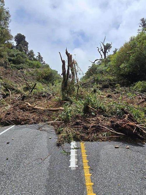 新西兰南岛发生山火 部分地区进入紧急状态