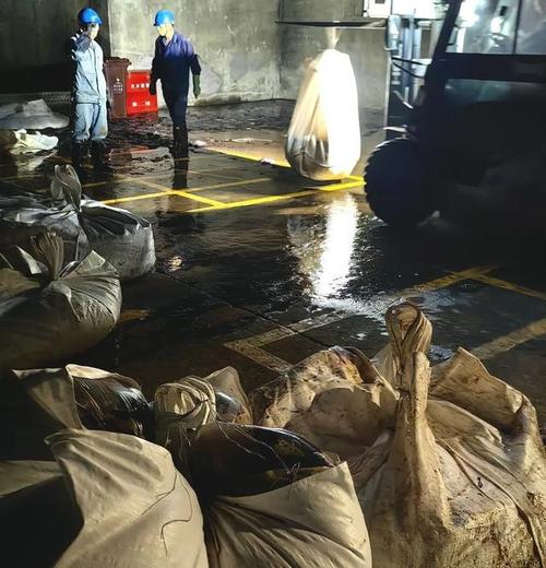 华东区域最大发电厂遭遇海蜇危机：循泵房面临被堵，员工24小时抓海蜇