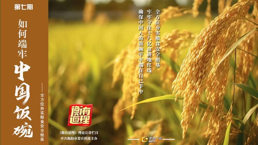 全方位夯实粮食安全根基 粮食生产形势良好