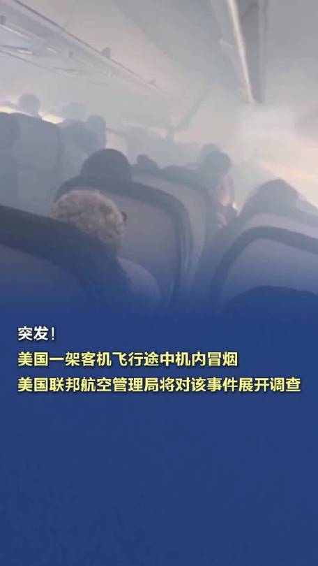 “这是羞辱”，他们怒告美国航空