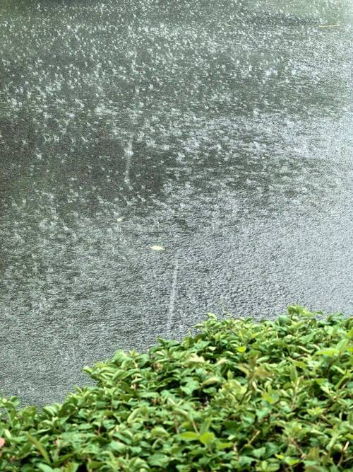 大雨大风来降温