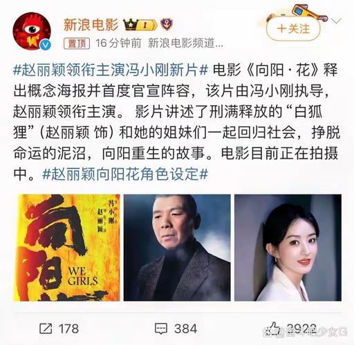 冯小刚《向阳·花》定档，赵丽颖“狠人”之姿亮相_1