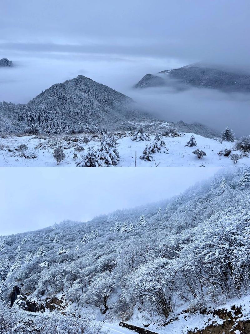 刚刚！神农架下雪了