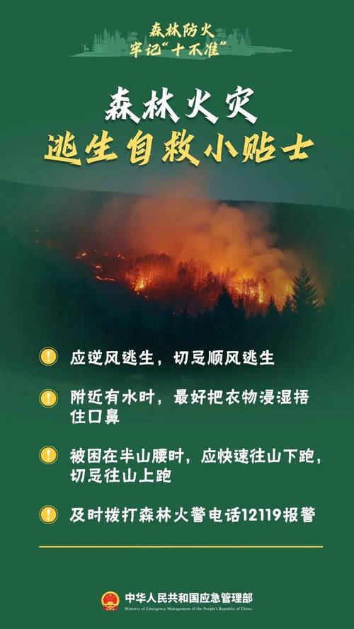 临灾预警第一时间到户到人，湖北多地成功避险避灾，未造成人员伤亡