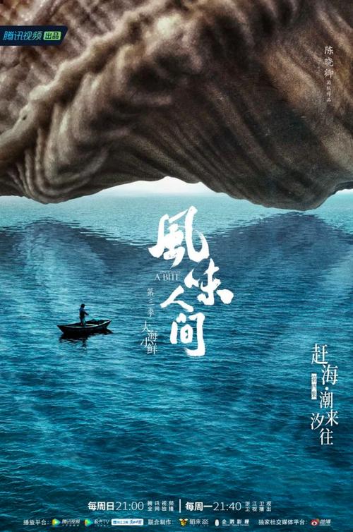 馋哭网友！《舌尖》导演新作《风味人间》首播，瓦屋山冷笋入镜