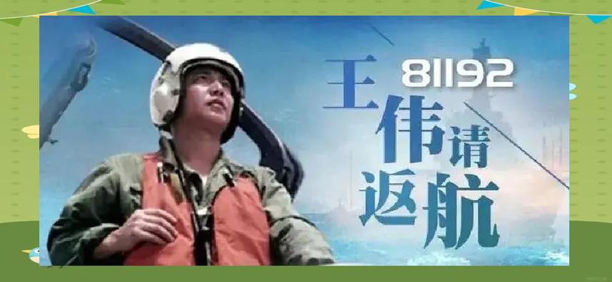 致敬致哀！空军失事飞机牺牲官兵被批准为革命烈士